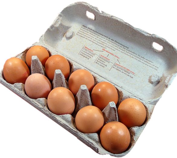 pridite po svojo škatlo domačih jajc