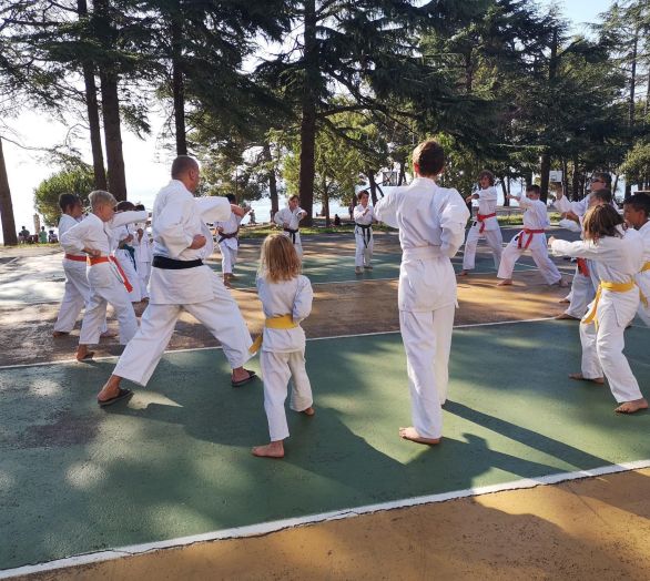 Karate klub Logatec - skupinska vadba