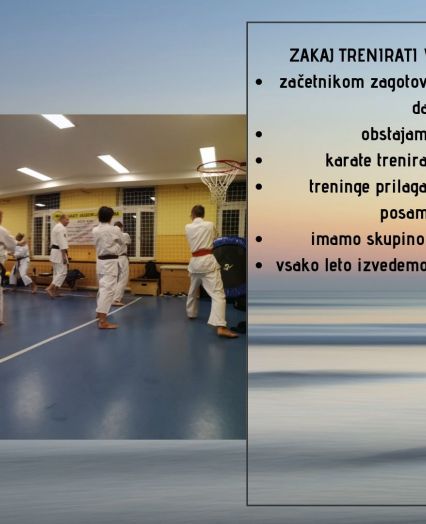 Karate klub Logatec - strokovno in kvalitetno