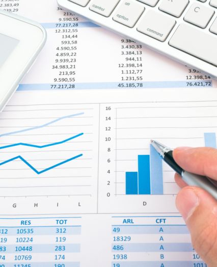 Kvaliteten računovodski servis, Nova Gorica - natančni izračuni