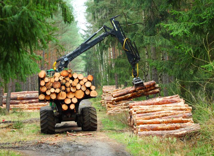 dobra predelava lesa Dolenjska