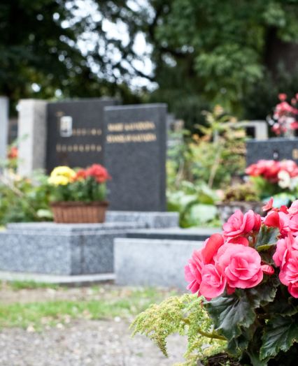 Grobovi s svečami in rožami