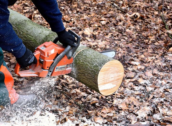 Sečnja lesa Tržič, Gorenjska, Gozdarske Storitve - prava izbira