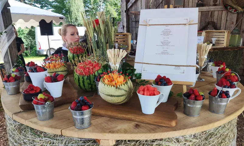 Catering za velike prireditve in slavja Ljubljana, Osrednja Slovenija