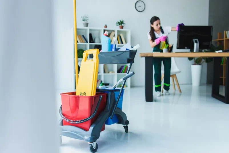 Dobro čiščenje apartmajev Obala