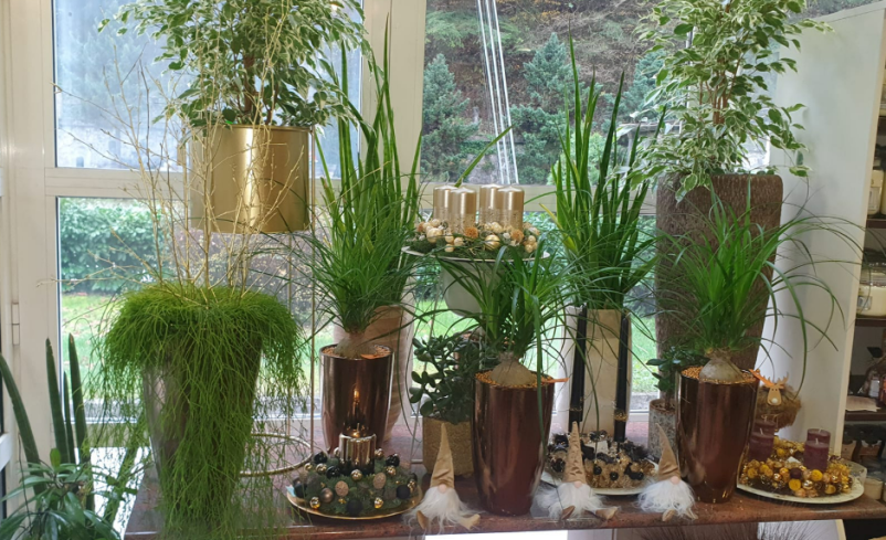 Žalna floristika Ptuj, Podravska