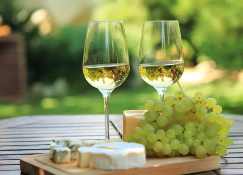 Vinogradniška kmetija Podlehnik, Haloze