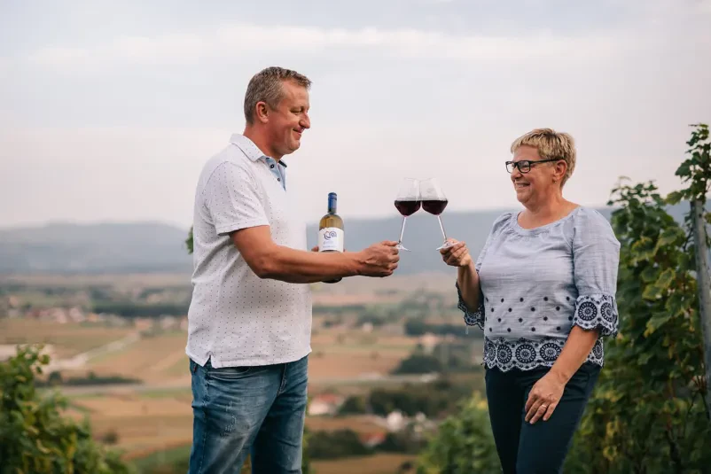 Ogled vinogradov Dolenjska