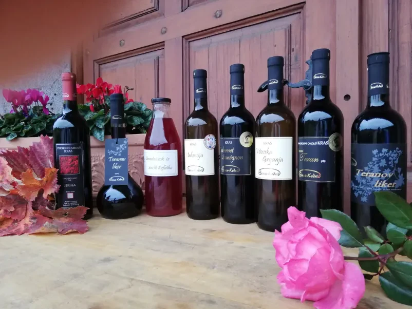 Degustacije vin Dutovlje