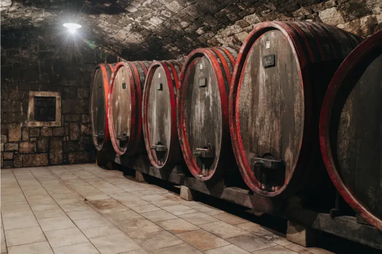 Ugodne degustacije vina Dutovlje, Sežana