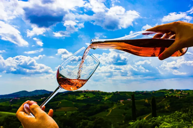 Degustacije vin Goriška