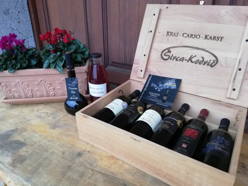Degustacija vina Obalno-kraška