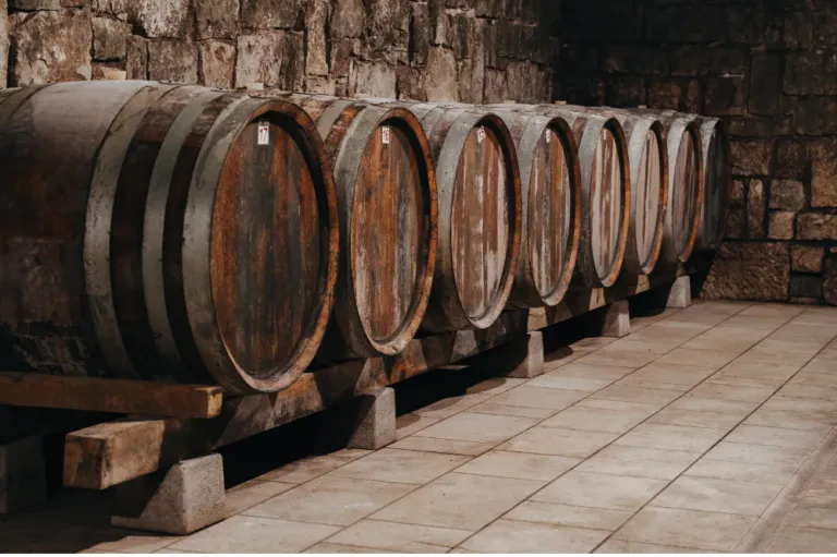 Degustacije vin Obala