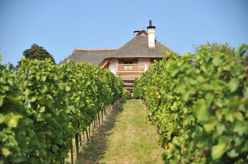 Degustacije vina Lendava, Prekmurje