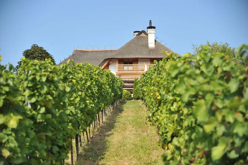 Degustacije vina Lendava, Prekmurje