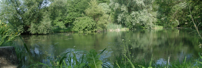 Skupnost, ki diha skupaj, občina Miklavž na Dravskem polju