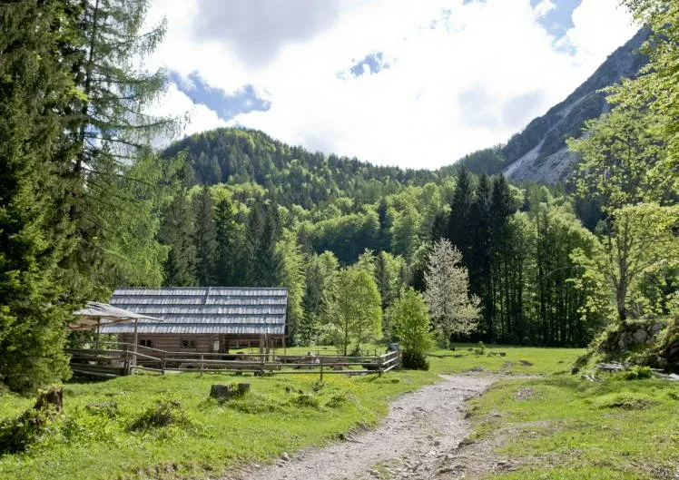 Dobra hrana, jedi na žlico Kranjska Gora