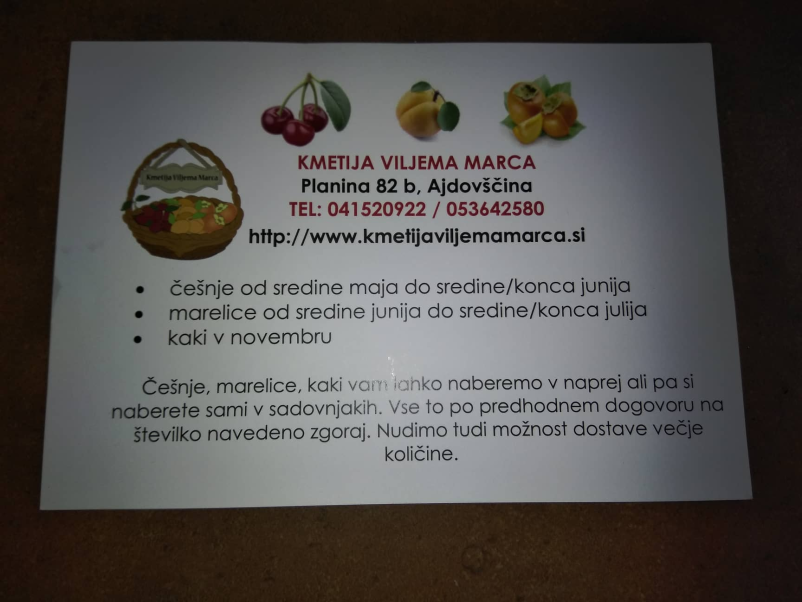 Kulinarične dobrote in domače vino v Vipavski dolini