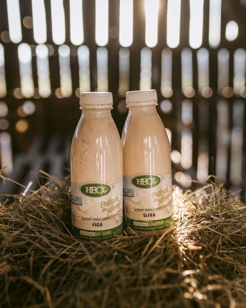 Pridelava in prodaja mlečnih izdelkov Maribor