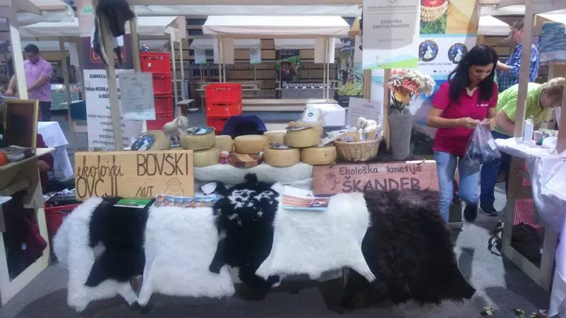 Ovčji jogurt, skuta in sveže mleko Bovec
