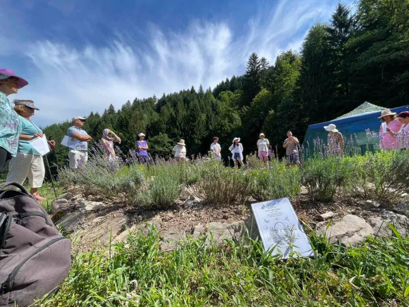 Naravni izdelki in eterična olja narejena v Sloveniji