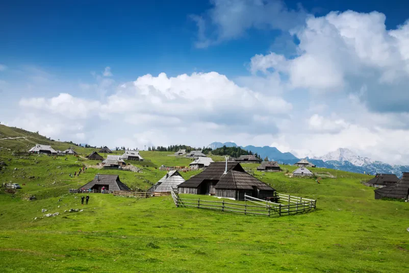 Družinska koča za najem Mala Planina