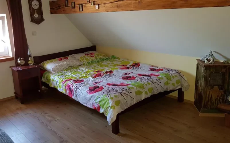 Hišnim ljubljenčkom prijazen apartma Ptuj okolica