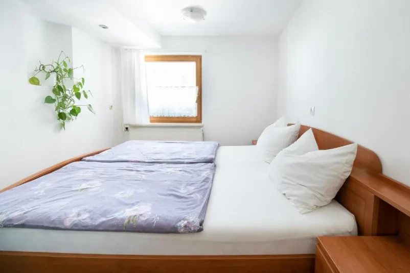 Apartma z vrtom Žirovnica