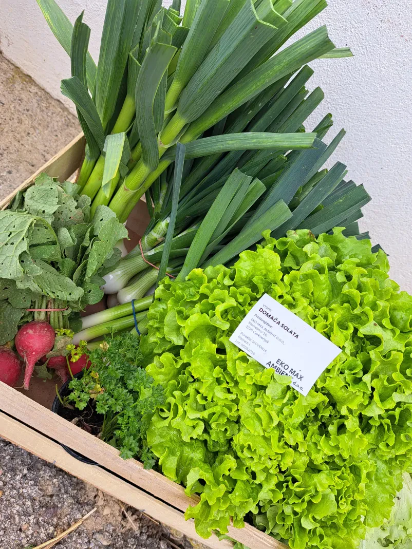 Ekološka in sezonska zelenjava iz Štajerske, odlična izbira