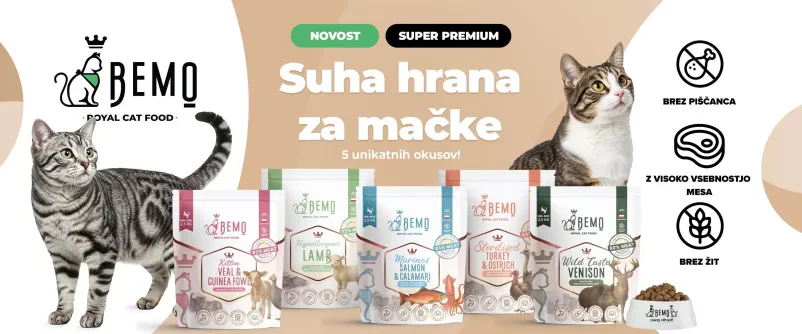 BARF in suha hrana za pse in mačke