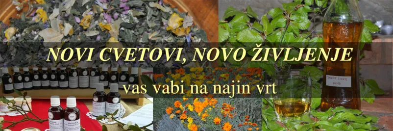 Izobraževanja s področja zeliščarstva Slovenija