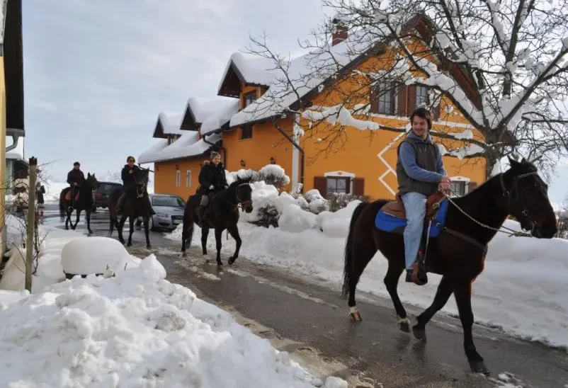Jahanje v maneži, vožnja s kočijo in počitnice na kmetiji