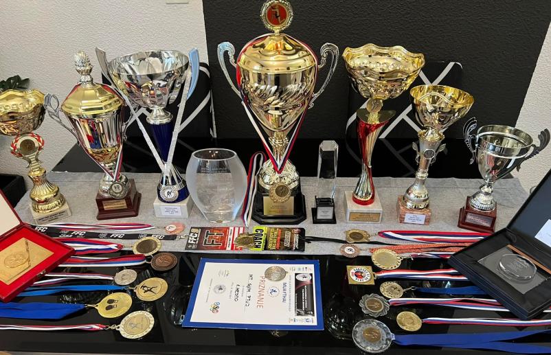 Trening borilnih veščin Ptuj, Štajerska