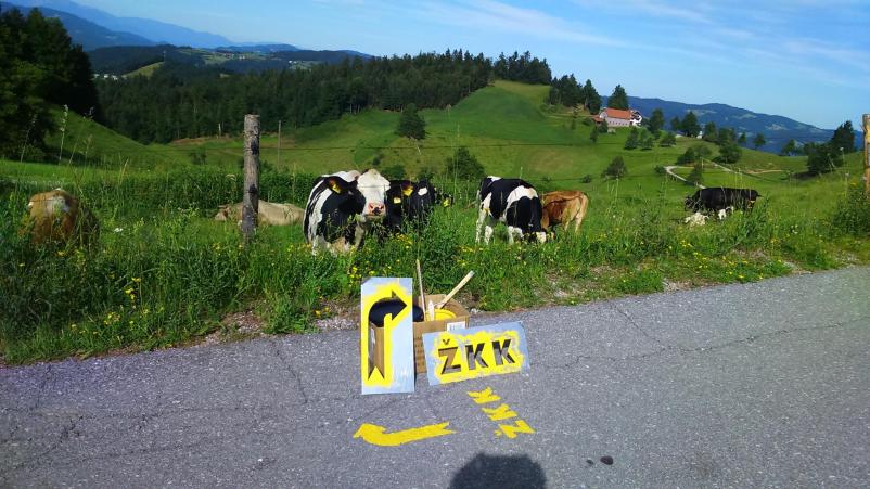 Kolesarski dogodek Žiri, Gorenjska