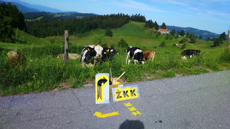 Kolesarski dogodek Žiri, Gorenjska