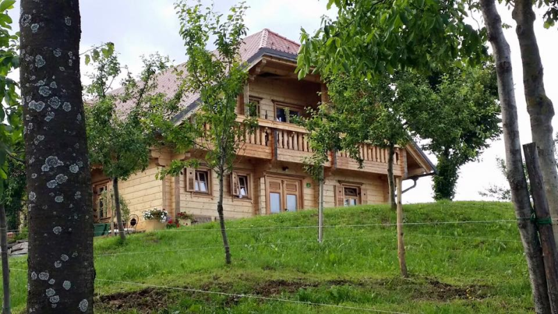 Gradbeni projekti z kvalitetnim lepljenim lesom in paletami Štajerska