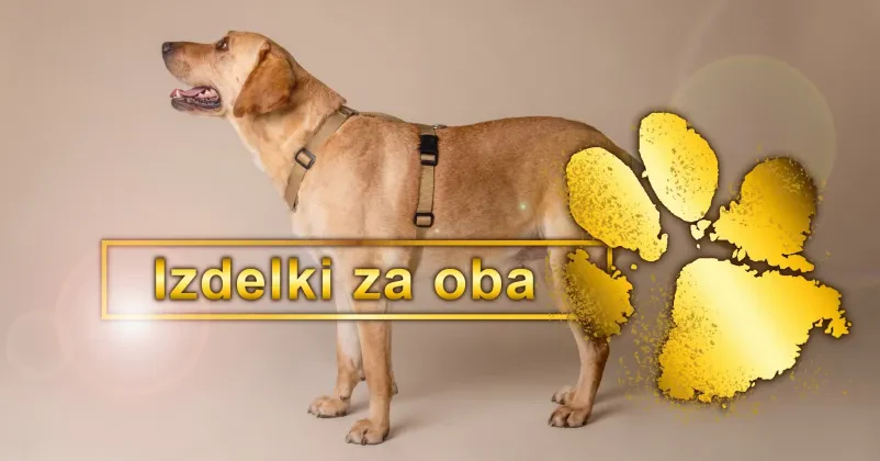 Povodci in oprsnice Slovenija