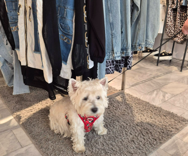 Kakovostna ženska oblačila za vse priložnosti, trgovina za ženske, Maribor