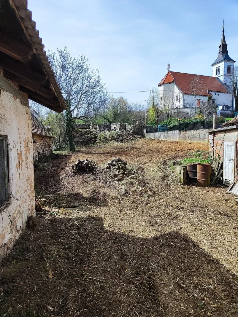 Mulčenje zaraščenih parcel na Primorskem