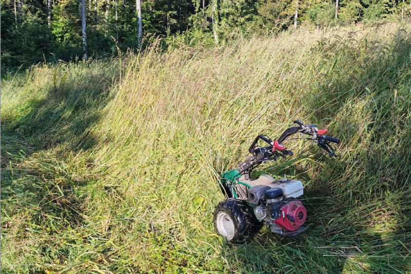 Urejanje okolice, mulčenje in podiranje dreves Štajerska, Pomurje, Savinjska