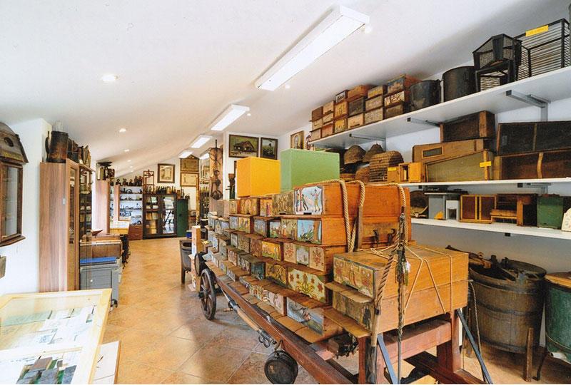 Zgodovina čebelarstva