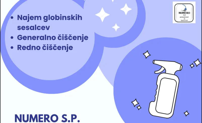 Globinsko čiščenje doma z najemom profesionalnega sesalca