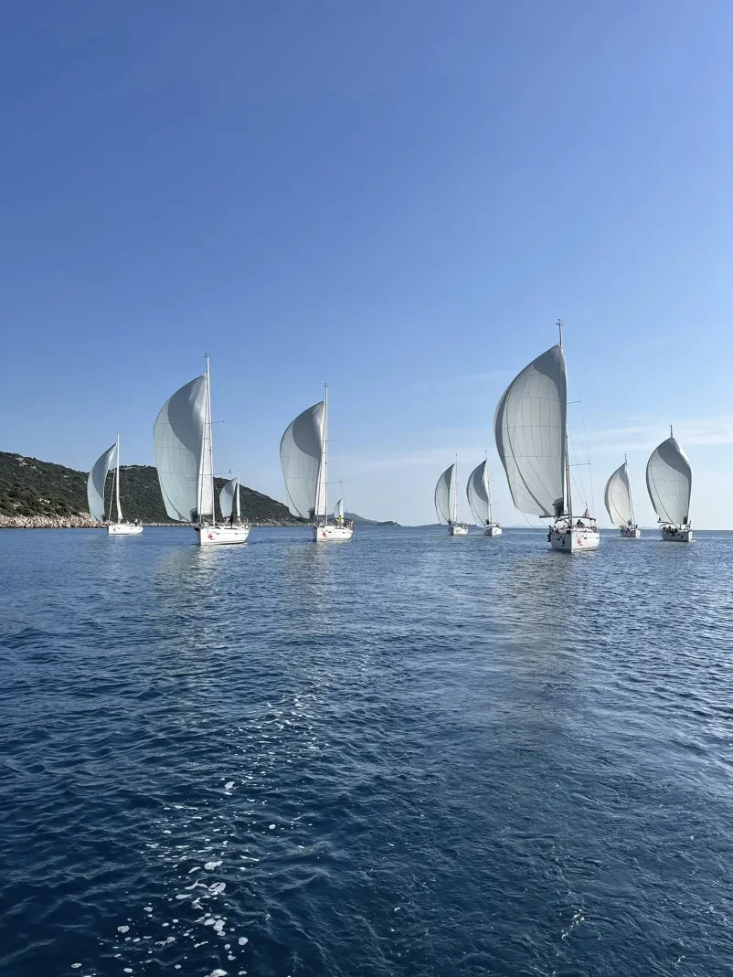 Najem jadrnic Slovenija