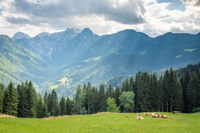 Nočitev na kmetiji Logarska dolina