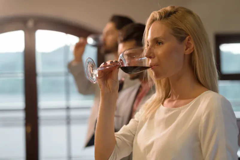 Prenočitev z zajtrkom med vinogradi