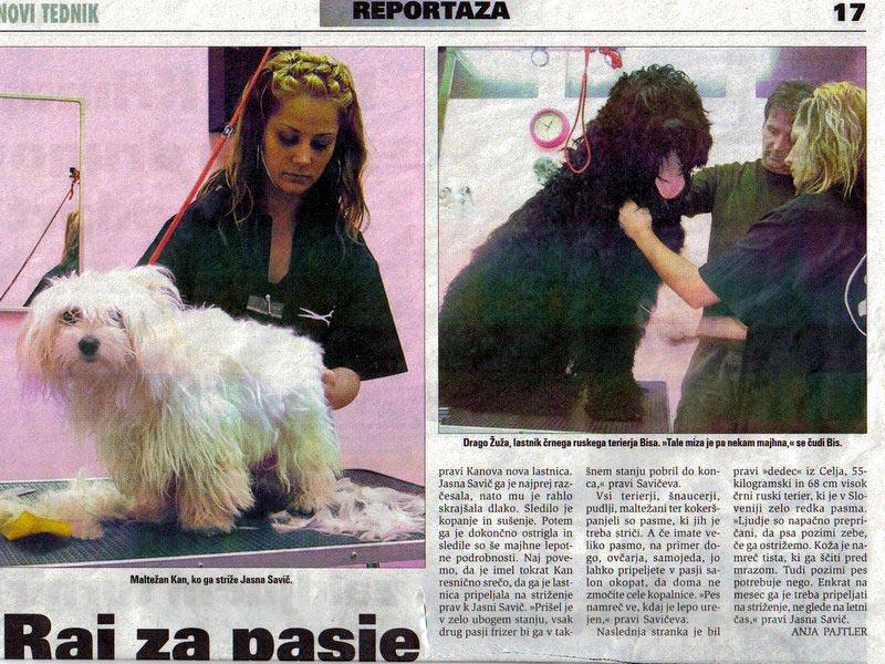 Pasji salon Savinjska regija