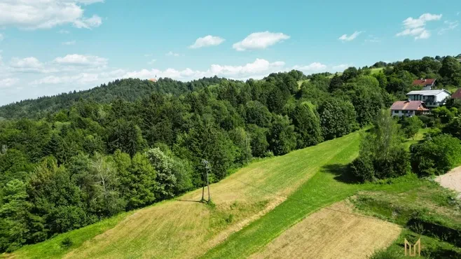 Nepremičninska agencija v Osrednji Sloveniji
