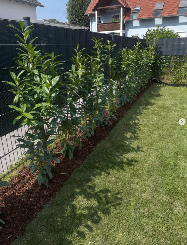 Profesionalno urejanje okolice Murska Sobota, Pomurje