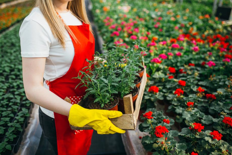 Raznolikost vsebin za vsak okus in stopnjo znanja
