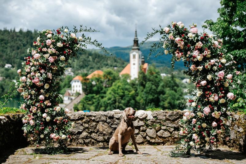 Odlične poročne dekoracije Slovenija